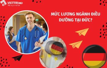 Mức lương du học nghề điều dưỡng tại Đức sau khi tốt nghiệp?