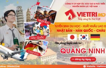 Tư vấn du học Nhật Bản uy tín tại Quảng Ninh – Việt Trí MD