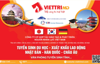 Công ty tư vấn du học Nhật Bản tại Hưng Yên – Việt Trí MD